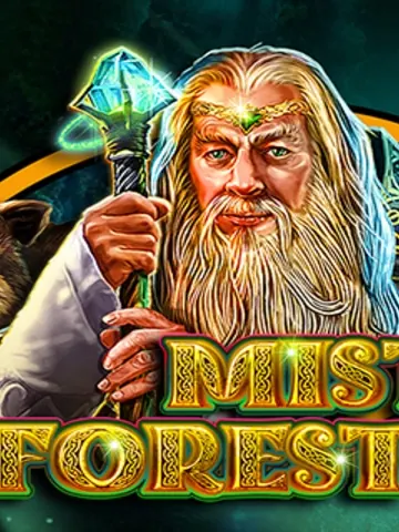 Misty Forest